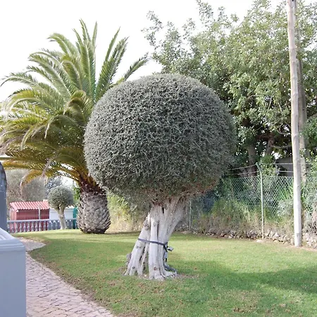 Monte Alegrete By Interhome Loulé