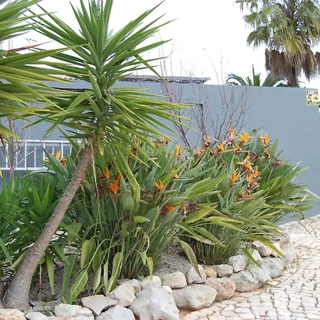 Casa de Férias Monte Alegrete By Interhome Loulé